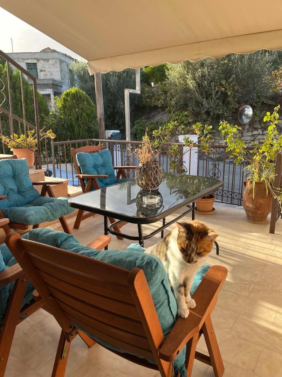 Villa Achilleas Deluxe Αpartment -Pet Friendly-Parking-Mountain View Kotsianá Esterno foto